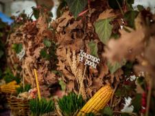 Badnji dan (19).jpeg