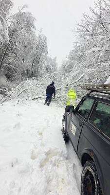 MALI ZVORNIK - Teški uslovi.jpg