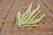 Božićna česnica (1).jpeg