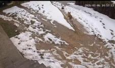 Screenshot 2026-01-08 121141.jpg