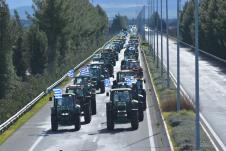 maja EPA Apostolis Domalis copy.jpg