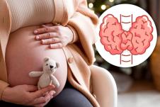 trudnica sa medvedićem u ruci/model štitne žlezde