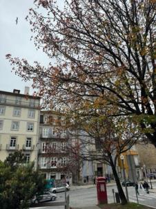 Portugalija (20).jpg