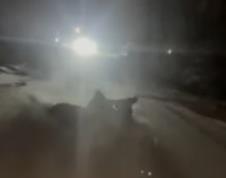 Screenshot 2026-01-10 192426.jpg