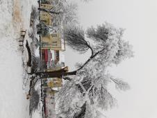 LOZNICA - Šteta i po gradskim parkovima.JPG