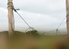 odsečene glave, Ekvador