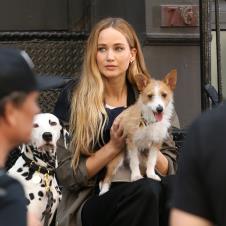 Dženifer Lorens sa psima