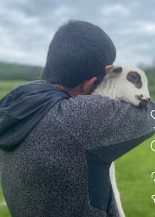 Sin Nade Topčagić živi sa ovcama i spava s njima