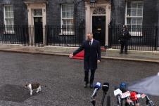 Karol Navrocki mačak Lari Leri Dauning strit