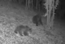 Screenshot 2026-01-17 200253.jpg