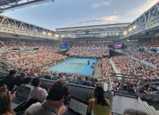 Danilović - Vilijams