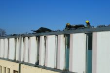 WhatsApp Image 2026-01-19 at 13.05.35.jpeg