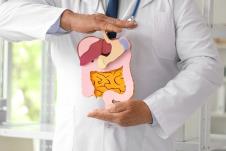 maketa creva i jetre koju drži doktor