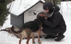 Screenshot 2026-01-19 184842.png