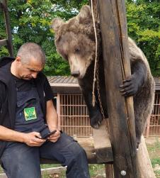 17688294391679593321_doboj-dva-medveda-masa-ljubica-foto-petar-tubic1 (1).jpg