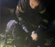 Screenshot 2026-01-20 114625.jpg