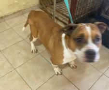 Screenshot 2026-01-20 150811.jpg