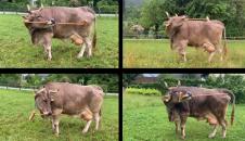 Screenshot 2026-01-21 114634.png