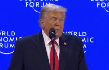 2026-01-21 14_40_06-collage.jpg @ 33.4% (Layer 1, RGB_8) _.png