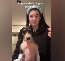 Devojka i njen jazavičar sa trbušnjacima