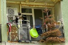 Viralna fotografija balkona na Balkanu