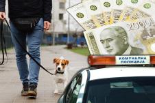 pas šetanje psa novac komunalna policija