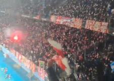 Delije, Crvena zvezda, Malme