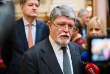 Skupština Srbije Tonino Picula Parlamentarna delegacija EU (9).jpeg