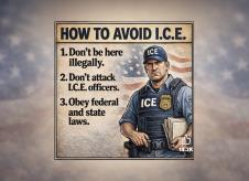 ICE, Amerika