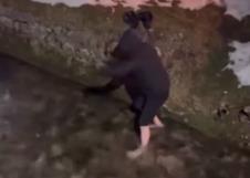 Screenshot 2026-01-25 142808.jpg