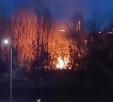 Screenshot 2026-01-25 173429.jpg