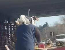 Screenshot 2026-01-26 114935.png