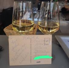 WhatsApp Image 2026-01-27 at 12.16.43 (5).jpeg