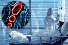 profimedia-0516405041 copy.jpg