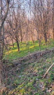 Screenshot 2026-01-27 163127.png