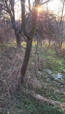 Screenshot 2026-01-27 163255.png