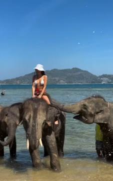 Anđela Đuričić jaše slona