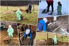 Slovenija vaspitanje deteta na balkanski način++.jpg