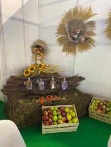 FOTO UIKS voće sa ekonomije OZ Smederevo, Agro Belgrade 2026.jpg