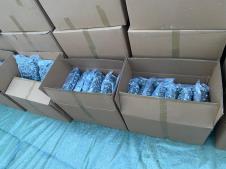 WhatsApp Image 2026-01-29 at 16.56.13.jpeg