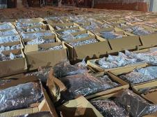 WhatsApp Image 2026-01-29 at 18.01.11.jpeg