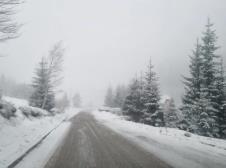 Mitrovac na Tari - sneg.jpg