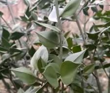 Screenshot 2026-02-02 121431.jpg