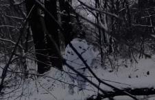 Legija slobodne Rusije, Ukrajina