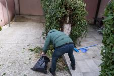 Zdravko Čolić bačena bomba vila Dedinje (2).jpeg