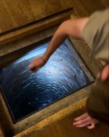 Tajni bunar ispod kuhinjskog poda u kući iz 1897. godine (3).png