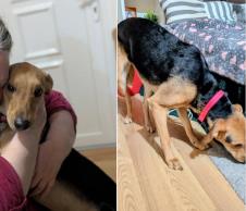 Screenshot 2026-02-04 090440.jpg