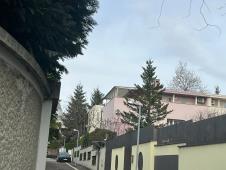 Zdravko Čolić kuća