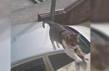 Screenshot 2026-02-05 105254.png