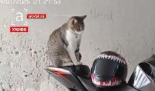 Screenshot 2026-02-05 105343.png